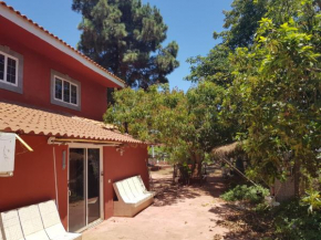 FINCA RURAL TORRES Casa 2 LOW COST, Vega De San Mateo